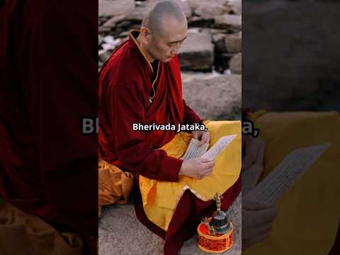 Bherivada Jataka – Buddhist Tale of Wisdom and Karma. #BherivadaJataka #BuddhistStories #WisdomTales