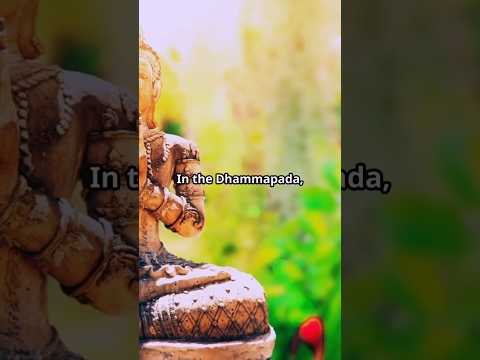 Evil Done by Oneself Destroys the Fool | Buddhist Wisdom. #BuddhistWisdom #Dhammapada #Karma