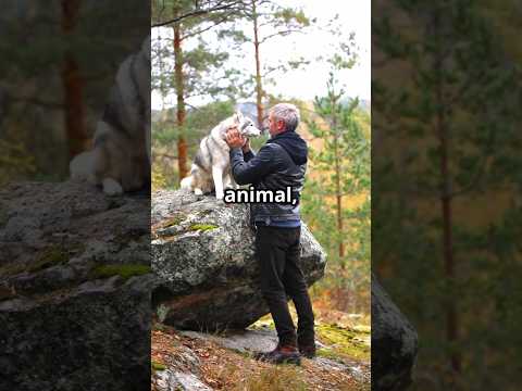 The Mind Is a Wild Animal — Tame It, Don’t Cage It! #MindfulLiving #TrainYourMind #NonAttachment