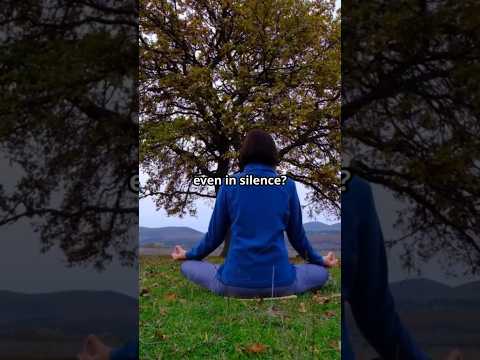 Noticing Is Enough: The Overlooked Key to Buddhist Wisdom. #Awareness #Consciousness #InnerWork