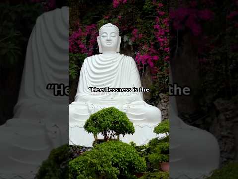 Heedlessness Leads to Death – A Timeless Buddhist Teaching. #Buddhism #Mindfulness #Heedlessness